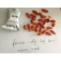 Freeze-Dry Goji Berry en Ningxia
